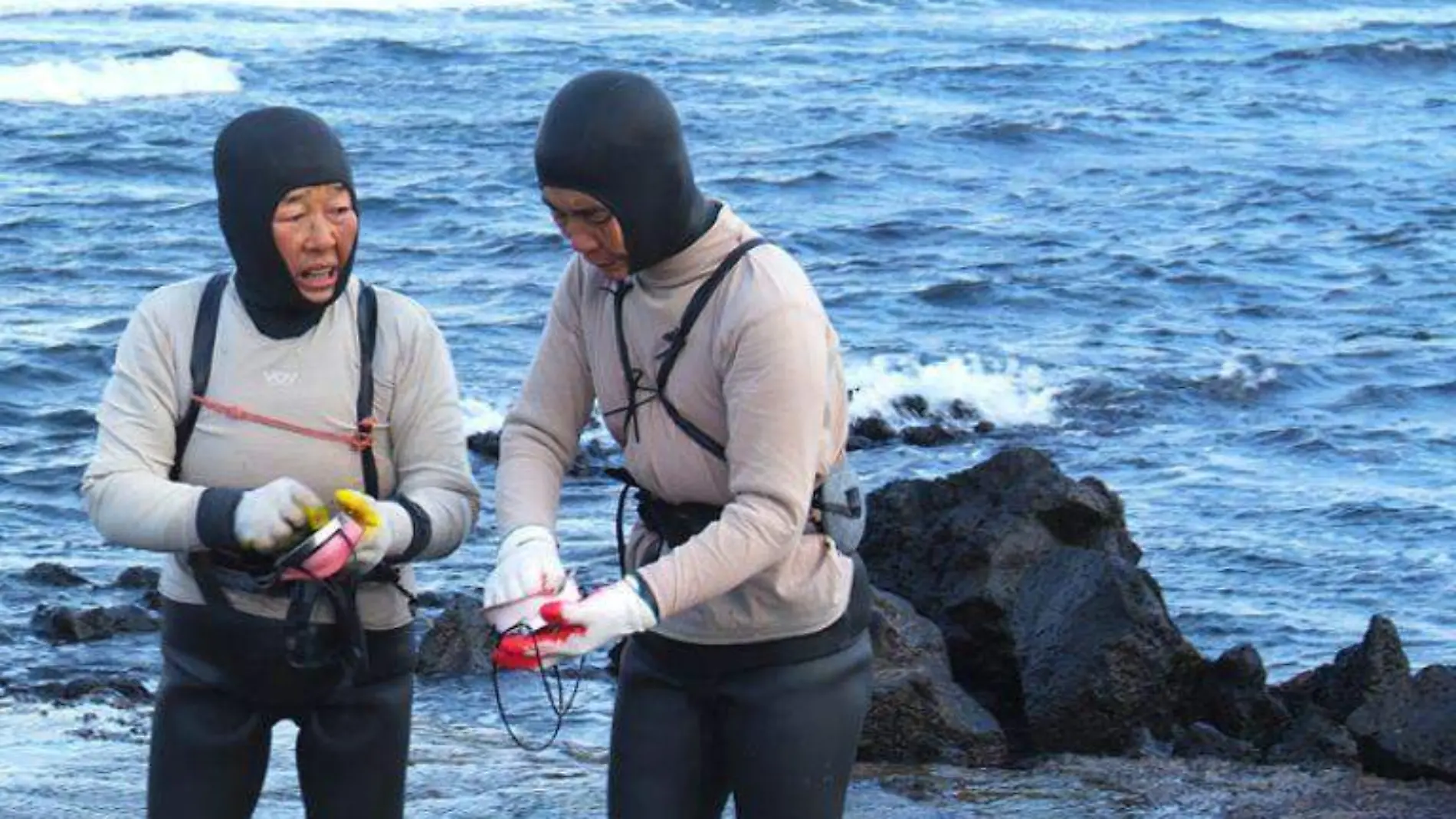 Exponen cultura de las sirenas de Corea del Sur en México 